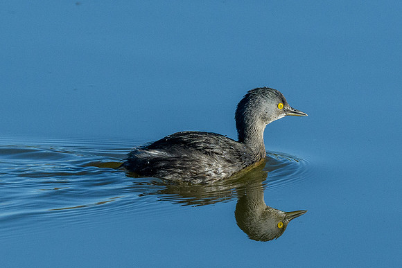 Edinburg Scenic Wetlands-LAK_3400-2