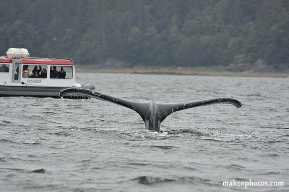 Alaska-2016-MAK_8749