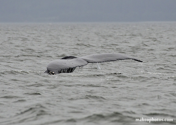 Alaska-2016-MAK_8675c