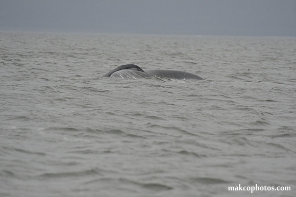 Alaska-2016-MAK_8651