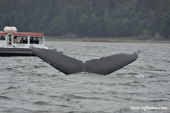 Alaska-2016-MAK_8753