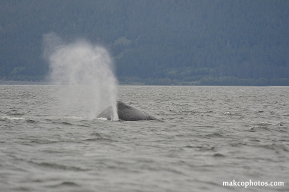 Alaska-2016-MAK_8572
