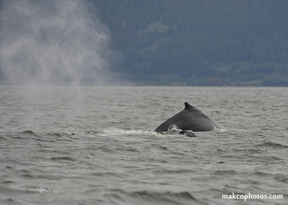 Alaska-2016-MAK_8576c