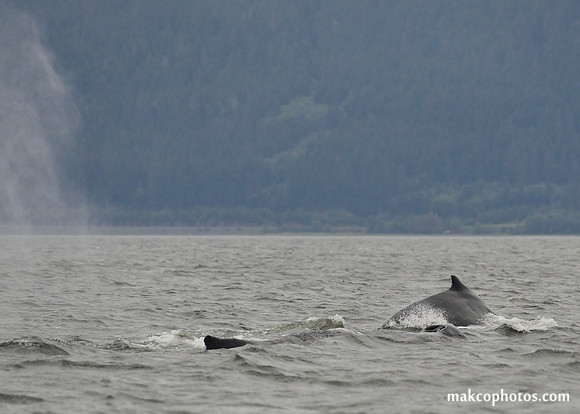 Alaska-2016-MAK_8580c