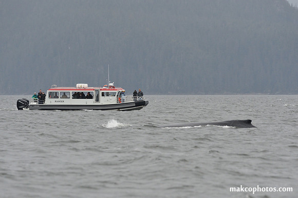 Alaska-2016-MAK_8628