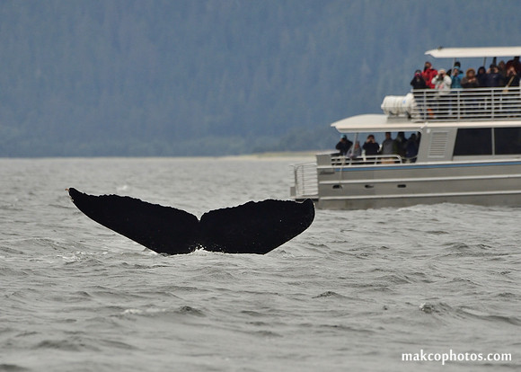 Alaska-2016-MAK_8605
