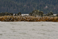 Alaska-2016-MAK_8547