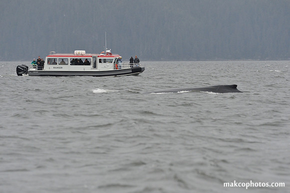 Alaska-2016-MAK_8629