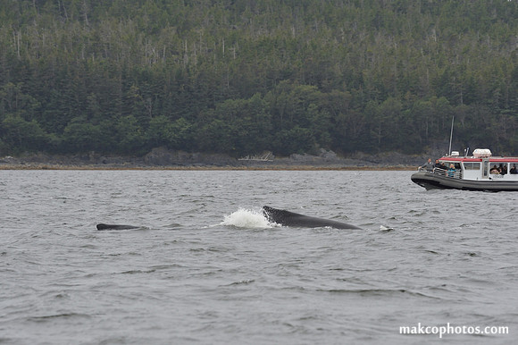 Alaska-2016-MAK_8693