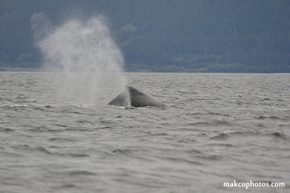 Alaska-2016-MAK_8573