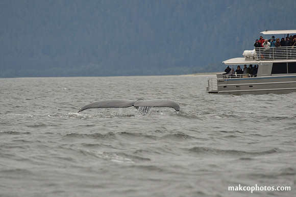 Alaska-2016-MAK_8599