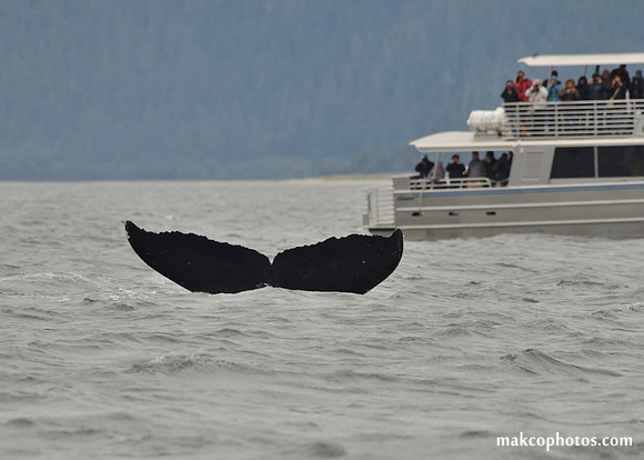 Alaska-2016-MAK_8606c