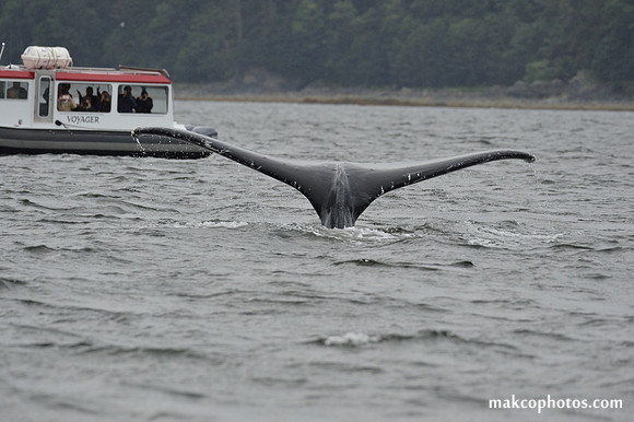 Alaska-2016-MAK_8750