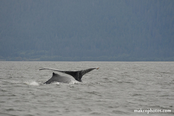 Alaska-2016-MAK_8586