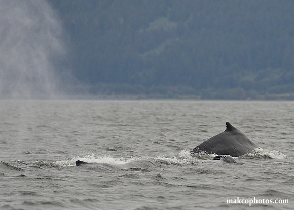 Alaska-2016-MAK_8578c