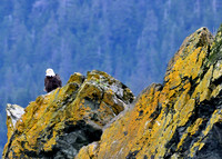 Alaska-2016-MAK_8521c