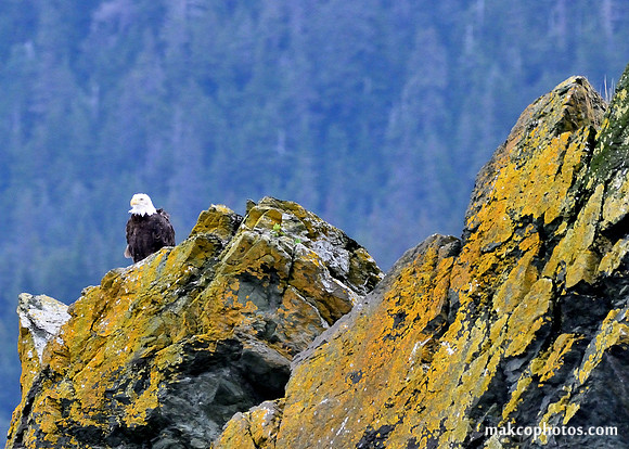 Alaska-2016-MAK_8521c