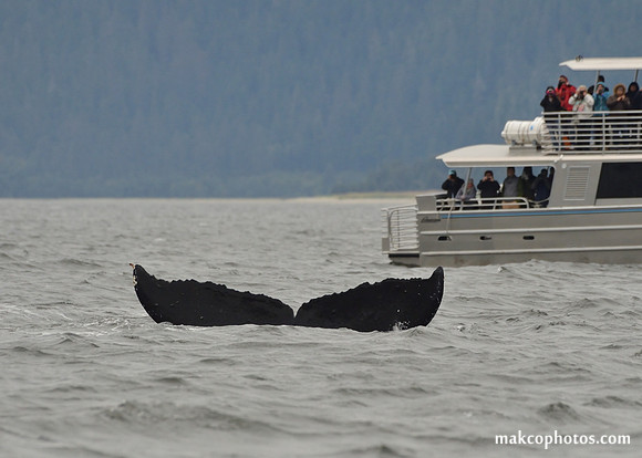 Alaska-2016-MAK_8607c