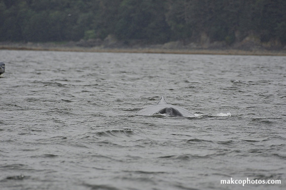 Alaska-2016-MAK_8725