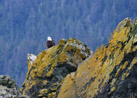 Alaska-2016-MAK_8520c