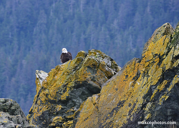 Alaska-2016-MAK_8520c