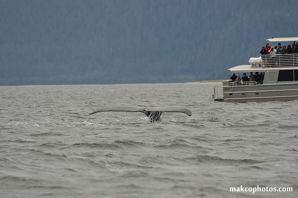 Alaska-2016-MAK_8600