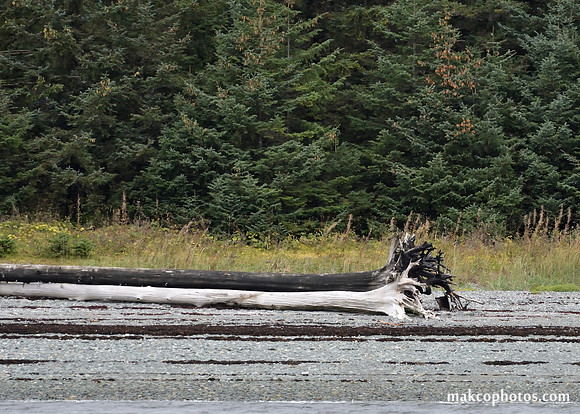 Alaska-2016-MAK_8553c