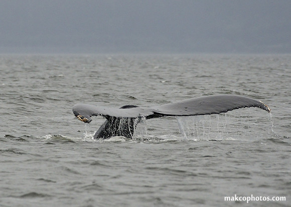 Alaska-2016-MAK_8656c