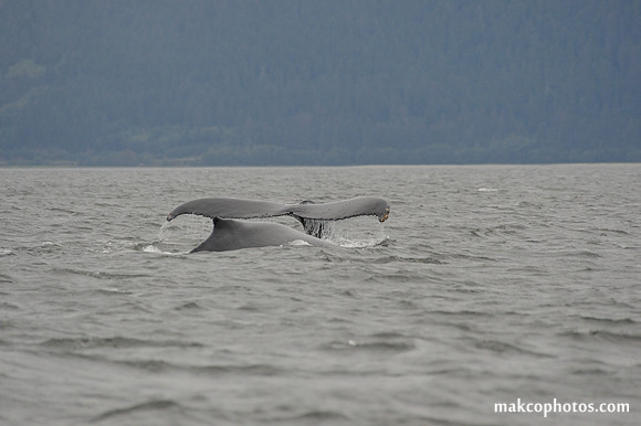 Alaska-2016-MAK_8584