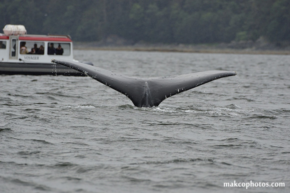 Alaska-2016-MAK_8751