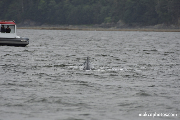 Alaska-2016-MAK_8740