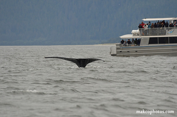 Alaska-2016-MAK_8602
