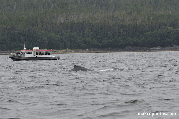 Alaska-2016-MAK_8703