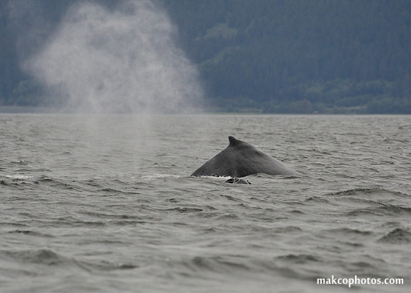 Alaska-2016-MAK_8574c
