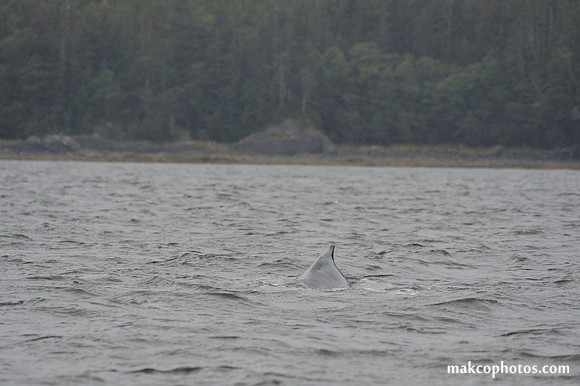 Alaska-2016-MAK_8719