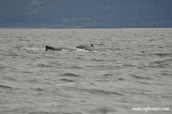 Alaska-2016-MAK_8581