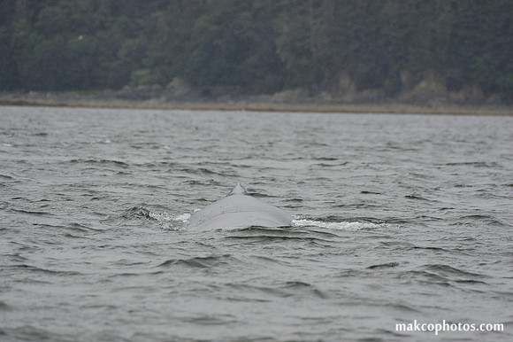Alaska-2016-MAK_8726