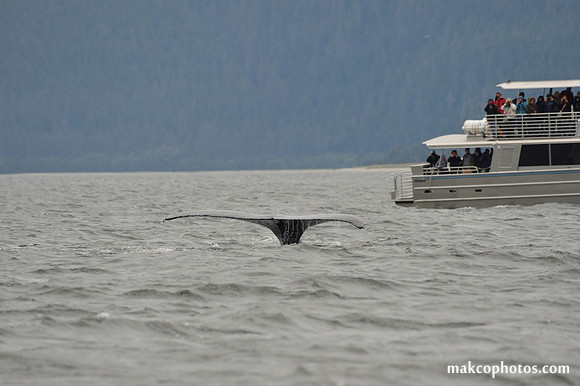 Alaska-2016-MAK_8601