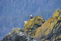 Alaska-2016-MAK_8519
