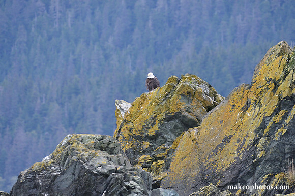 Alaska-2016-MAK_8519
