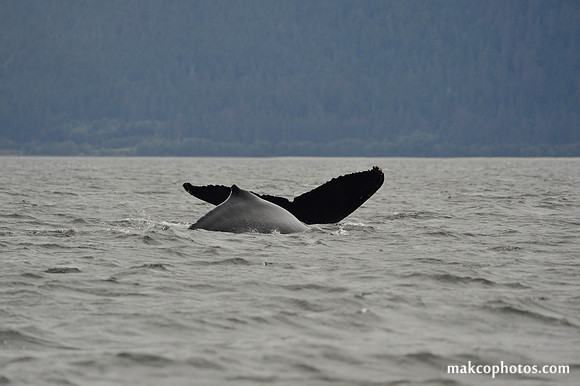Alaska-2016-MAK_8589