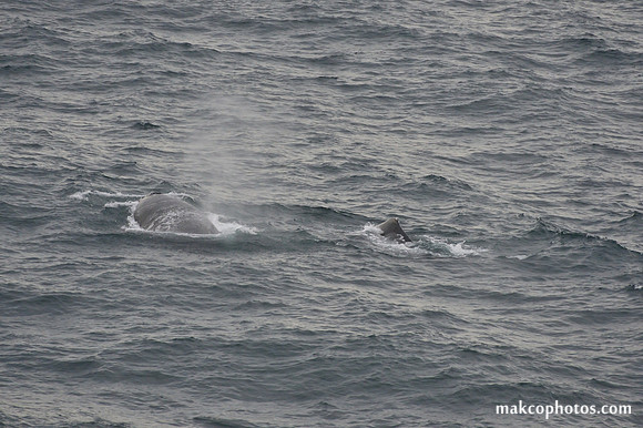 Alaska-2016-MAK_0737