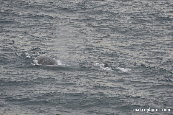 Alaska-2016-MAK_0739