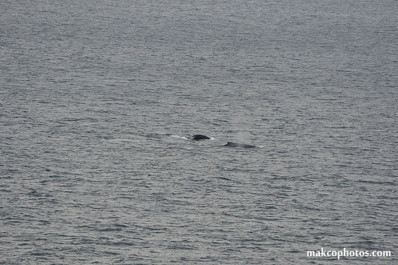 Alaska-2016-MAK_0812
