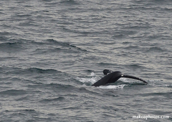 Alaska-2016-MAK_0721