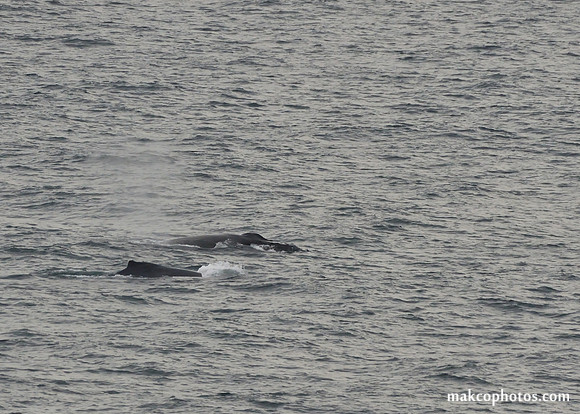 Alaska-2016-MAK_0790