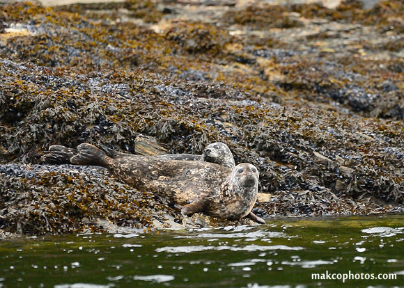 Alaska-2016-MAK_0630
