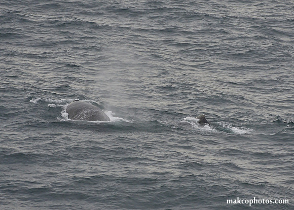 Alaska-2016-MAK_0738