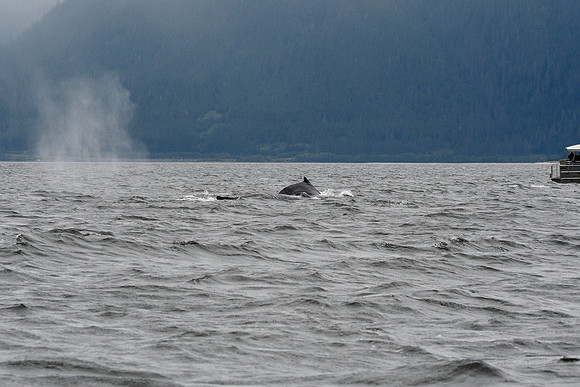 Alaska2016_LAK0967c