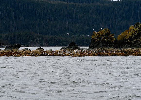 Alaska2016_LAK0947c